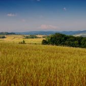 Bieszczady