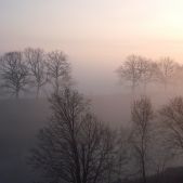 Mgła