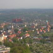 Strzegom