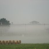 Poranek nad Majdankiem