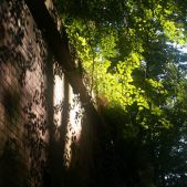 Forteczna przyroda