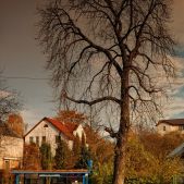 Przystanek Stara Wola
