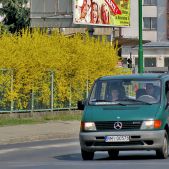 Mercedes Vito #RMI 00578
