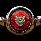 Jaguar - logo