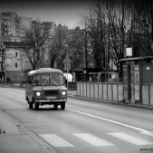 Nysa 522