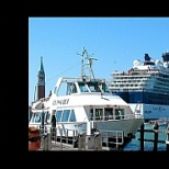 Celebrity Summit