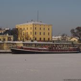 Alrina