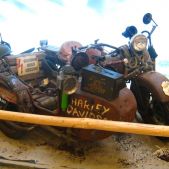Harley