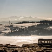 Solaris Urbino 8,9LE eletric #DE605