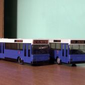 MAN SL202 #BL998 & #BL999