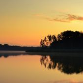 Poranek nad Jeziorem Wolsztyńskim