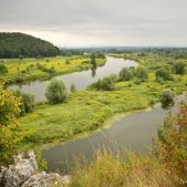 Meandry rzeki Wisły