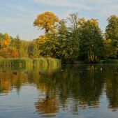 Staw jesienią