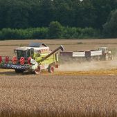Claas Dominator Mega 208