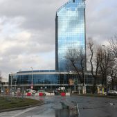 Błękitek
