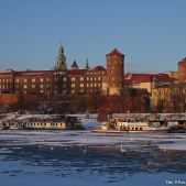 Wawel
