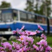 Ikarus 280.26 #DK260