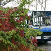 Ikarus 280.26 #DK260