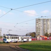 E1 #111
