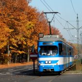 E1 #115+575