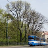E1 #133+593