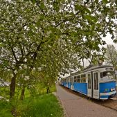 E1 #107+567