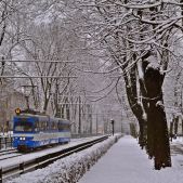 E1 #254+654