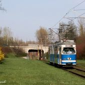 E1 #151