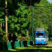 E1 #HW142+HB542