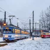 E1 #RW113+RB513