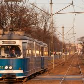 E1 #255+655