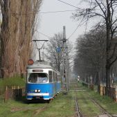 E1+c3 #149+549