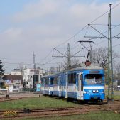 E1+c3 #104+564