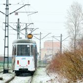 E1 #HW142+HB542