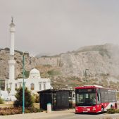 Man Lion's City Midi #G9515D
