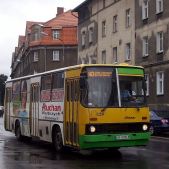 Ikarus 260.04 #128