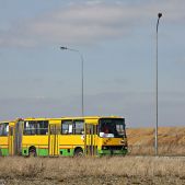 Ikarus 280.26 #81