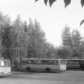 Jelcz M11 #43
