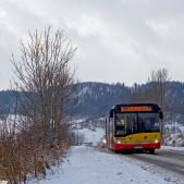 Solaris Urbino 12 #301