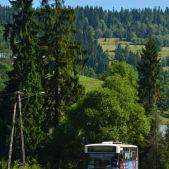 Jelcz 120M/3 #429