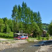 Jelcz 120M/3 #429