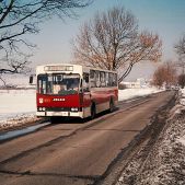 Jelcz M11 #421