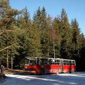 Ikarus 280.26 #698