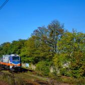311D-17