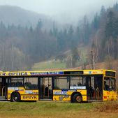 MAN NL222 #113