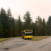 MAN NL222 #113