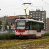 Vario LF.E #251