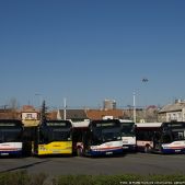 Solaris Urbino 12 #622