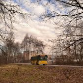 Irisbus Citelis 12M #MI950