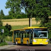 Irisbus Citelis 12M #MI963